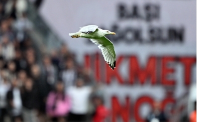 Tpra Stadyumu'nda mart srprizi!