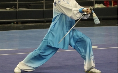 8. Ak Balkan Wushu Kung Fu ampiyonas sona erdi