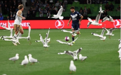 Avustralya'da ilgin� anlar: Sahay� mart�lar bast�