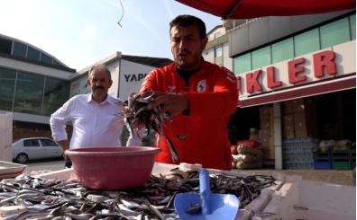 Samsunspor'un Avrupa'daki başarısını hamsiyi ucuza satarak kutladı!