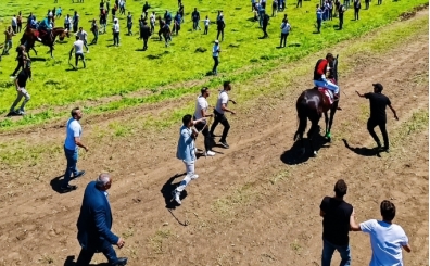 Bu şiddet infial yarattı!